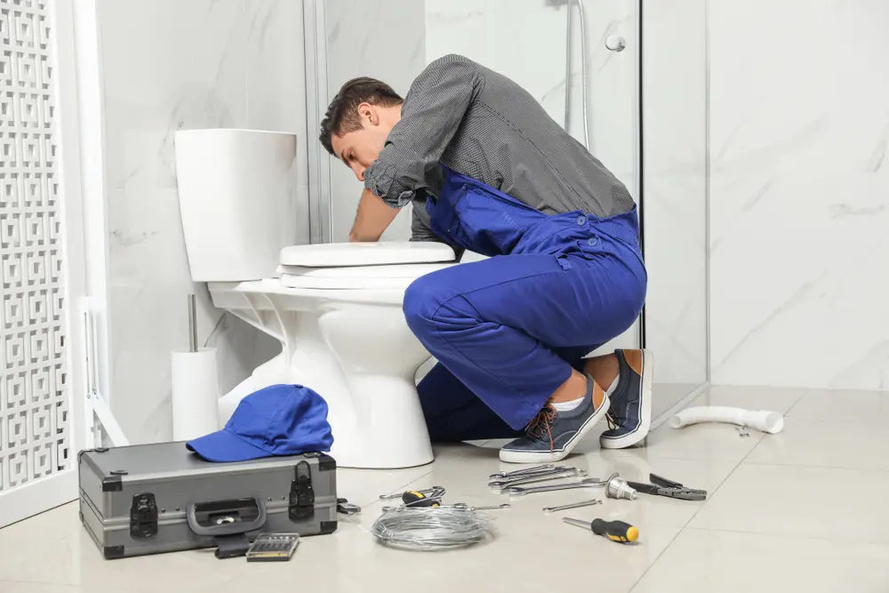 Toilet Repair in Nina